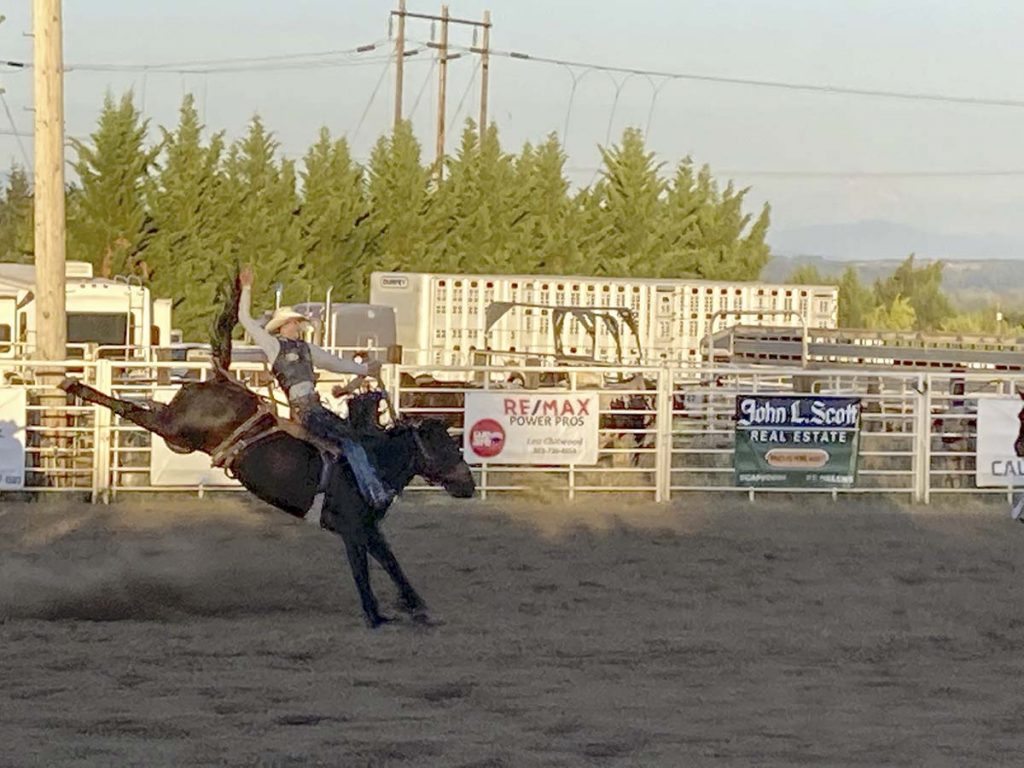 photo of rodeo horse and rider